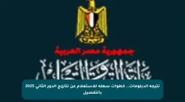 نتيجة الدبلومات.. خطوات سهلة للاستعلام عن نتائج الدور الثاني 2025 بالتفصيل